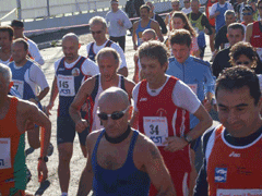 Ingrandisci FOTO