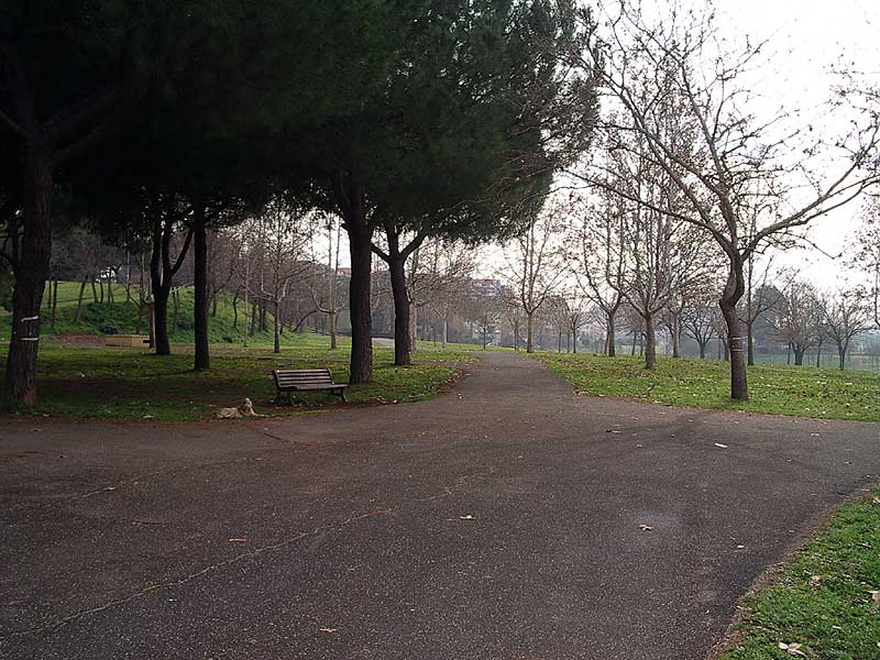 Ingrandisci FOTO