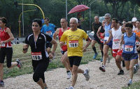 Ingrandisci FOTO
